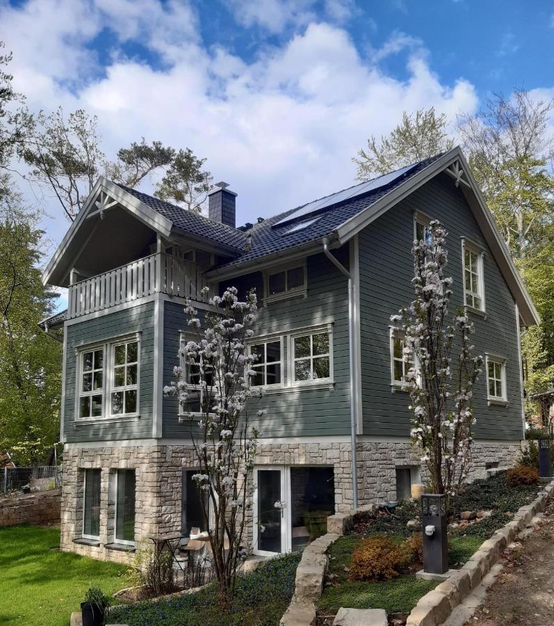 Moderne Wohnung im skandinavischen Stil am Waldrand Schwielowsee Exterior foto
